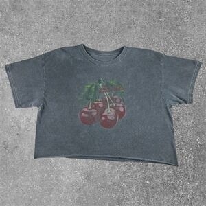 Vinyl Icons Sweet Sweet Cherries Faded Vintage Style Gray Crop Top Womens Large